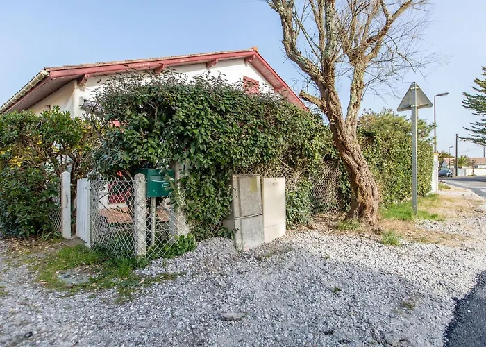 Iena By Interhome Lejlighed